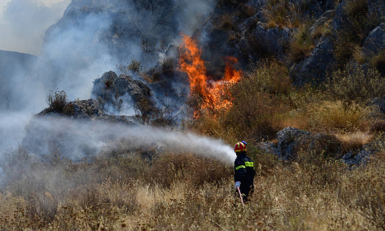 Εμπρηστές «απειλούν» τον Παρνασσό: Πέντε ταυτόχρονες εστίες σε εξέλιξη – Συναγερμός στη πυροσβεστική